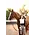 Euphoric Equestrian Euphoric Equestrian Kloud 9 Competition Top