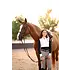 Euphoric Equestrian Euphoric Equestrian Kloud 9 Competition Top