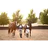 Euphoric Equestrian Euphoric Equestrian Kloud 9 Competition Top
