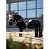 LeMieux Lemieux Toy Pony Martingale - Black