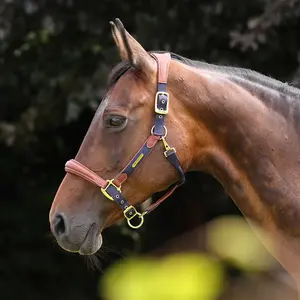 Velociti Velociti Lusso Padded Leather Breakaway Halter