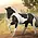 Breyer Breyer Collectable - Warmblood Stallion - Black Tobiano