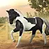 Breyer Breyer Collectable - Warmblood Stallion - Black Tobiano