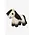 LeMieux LeMieux Tiny Pony