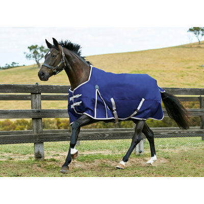 Weatherbeeta Weatherbeeta ComFiTec Essential Standard Neck Lite