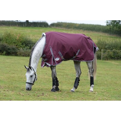 Weatherbeeta Weatherbeeta ComFiTec Plus Dynamic II Standard Neck Medium