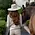 Ellsworth Ellsworth - Midi Brim Sun Hat Tan