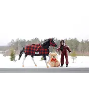 Breyer Breyer Holiday Pajama Party