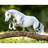 Breyer Breyer - Get Rowdy - Dutch Warmblood