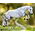 Breyer Breyer - Get Rowdy - Dutch Warmblood
