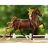 Breyer Breyer - WGC Marc of Charm - Saddlebred Stallion (Retired)