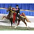 Breyer Breyer - WGC Marc of Charm - Saddlebred Stallion (Retired)
