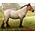 Breyer Breyer - Collectables Dutch Draft Mare Roan