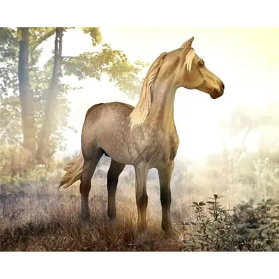 Breyer Breyer Collectibles Morgan Stallion- Silver Grulla