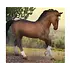 Breyer Breyer Collectable - Warmblood Stallion Bay