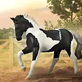 Breyer Breyer CollectA - Warmblood Stallion - Black Tobiano