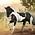 Breyer Breyer Collectable - Warmblood Stallion - Black Tobiano