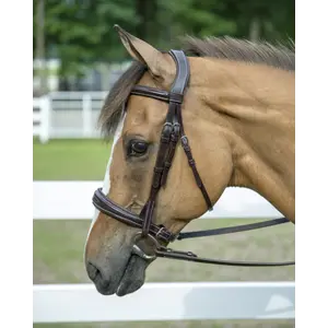 Henri de Rivel Pro Mono Crown Bridle Padded Wide Noseband- Havana/Horse