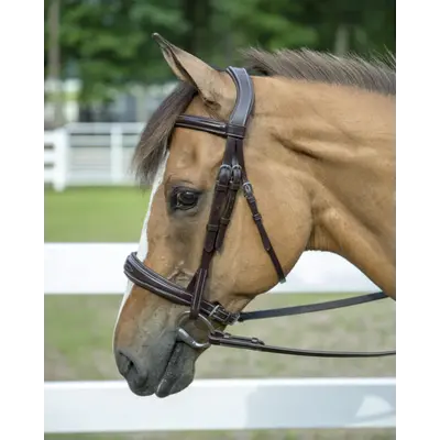 Henri de Rivel Pro Mono Crown Bridle Padded Wide Noseband- Havana/Horse