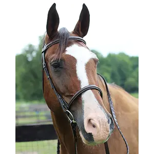 Henri de Rivel Pro Fancy Raised Bridle With Laced Reins- Havana/Horse
