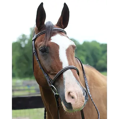 Henri de Rivel Pro Fancy Raised Bridle With Laced Reins- Havana/Horse