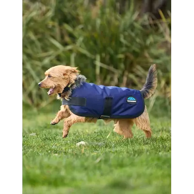 Weatherbeeta WB Comfitec Classic Dog Coat