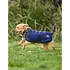 Weatherbeeta WB Comfitec Classic Dog Coat
