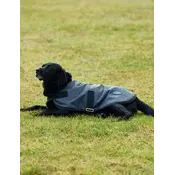 Weatherbeeta WB Comfitec Classic Dog Coat