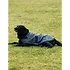 Weatherbeeta Weatherbeeta - Comfitec Classic Dog Coat -