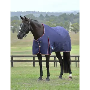 Weatherbeeta WB ComfiTec Essential Turnout Standard - 0G - 1200D