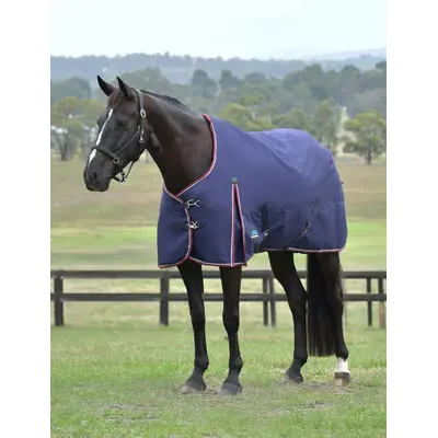 Weatherbeeta WB ComfiTec Essential Turnout Standard - 0G - 1200D