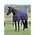 Weatherbeeta Weatherbeeta - ComfiTec Essential Turnout Standard - 220G - 1200D