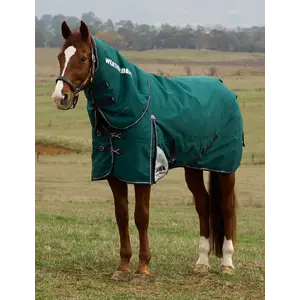 Weatherbeeta WB ComfiTec Plus Dynamic Turnout Detach-A-Neck - 220G - 1200D