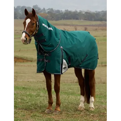 Weatherbeeta WB ComfiTec Plus Dynamic Turnout Detach-A-Neck - 220G - 1200D