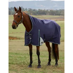 Weatherbeeta WB ComfiTec Plus Dynamic Turnout High Neck - 220G - 1200D