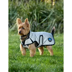 Weatherbeeta WB Comfitec Reflective Dog Coat