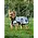 Weatherbeeta Weatherbeeta - Comfitec Reflective Dog Coat -
