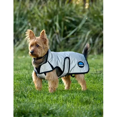 Weatherbeeta WB Comfitec Reflective Dog Coat