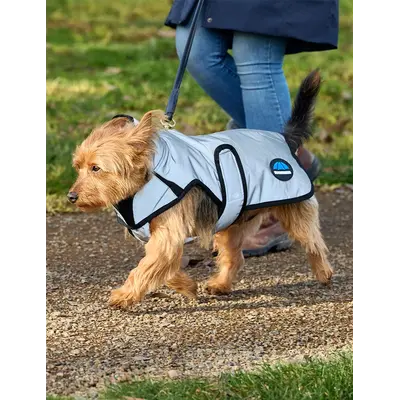 Weatherbeeta WB Comfitec Reflective Dog Coat