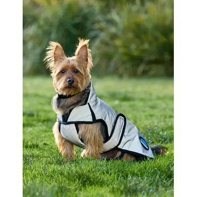 Weatherbeeta WB Comfitec Reflective Dog Coat