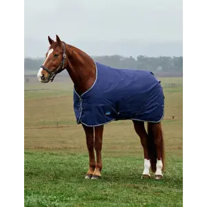 Weatherbeeta Weatherbeeta - ComfiTec Tyro Turnout Standard Neck - 220G - 600D