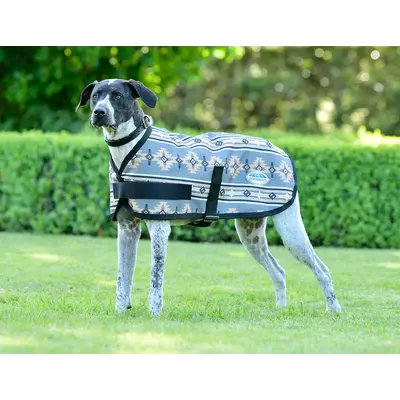 Weatherbeeta Weatherbeeta - Comfitec Essential Dog Coat -