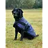 Weatherbeeta WB Comfitec Classic Dog Coat