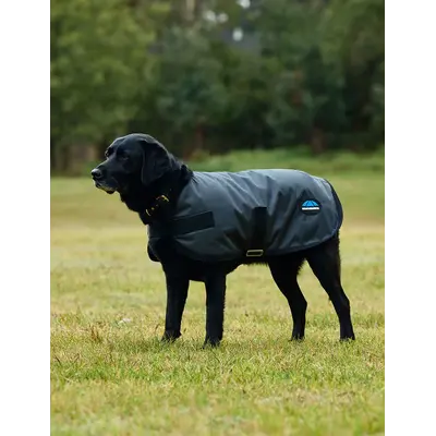 Weatherbeeta WB Comfitec Classic Dog Coat