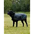 Weatherbeeta WB Comfitec Classic Dog Coat