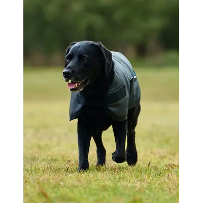 Weatherbeeta WB Comfitec Classic Dog Coat