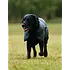 Weatherbeeta Weatherbeeta - Comfitec Classic Dog Coat -