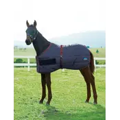 Weatherbeeta WB 420D Foal Standard Neck Medium Navy/Burgundy 42” - 57”