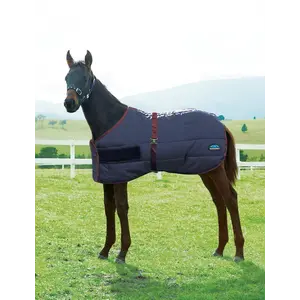 Weatherbeeta WB 420D Foal Standard Neck Medium Navy/Burgundy 42” - 57”