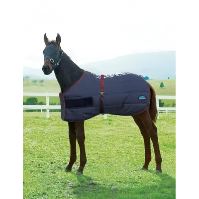 Weatherbeeta WB 420D Foal Standard Neck Medium Navy/Burgundy 42” - 57”